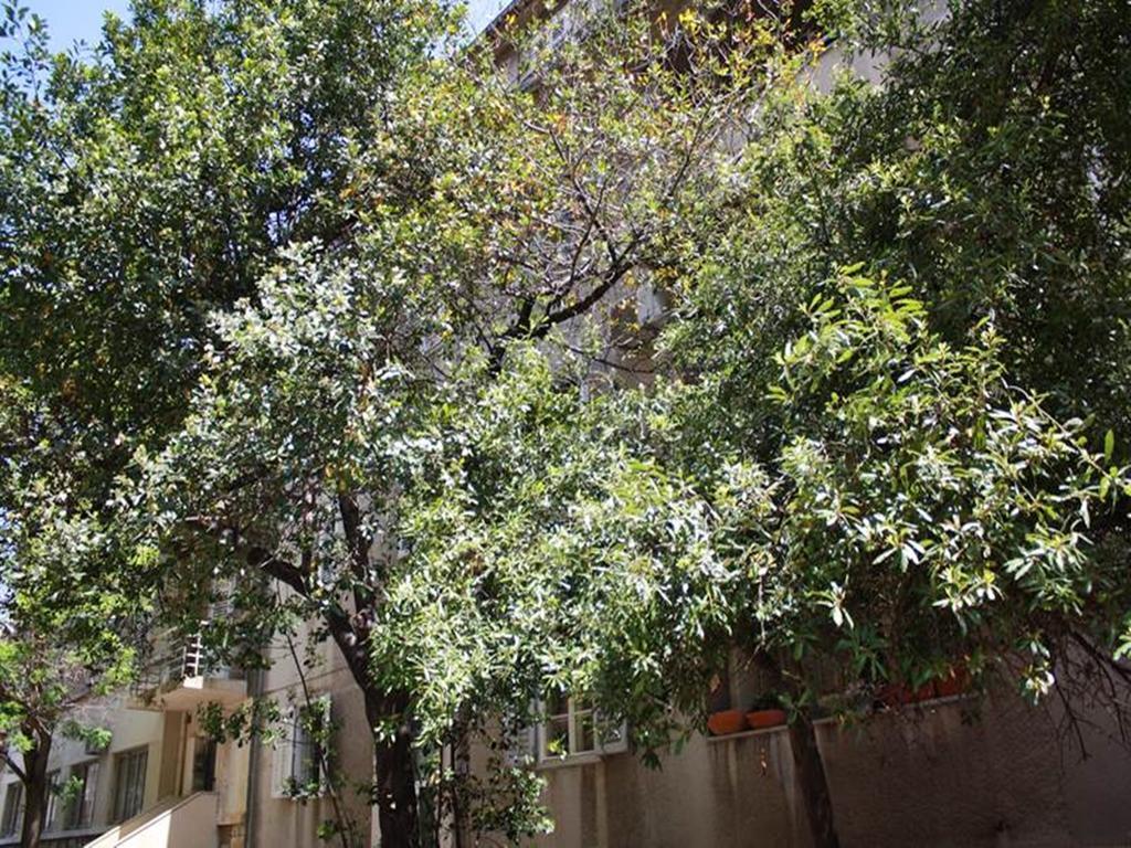Klarina Apartments 斯普利特 客房 照片